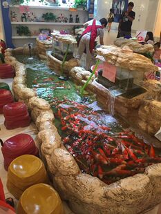 吃奶鱼鱼池 室内钓鱼池 捞鱼池 玻璃钢鱼池 专业订做各尺寸鱼池