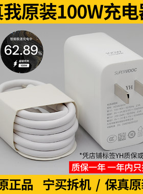 真我100W原装充电器原厂正品