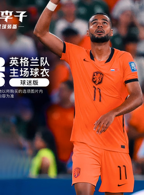 小李子NIKE耐克2026世界杯 荷兰队主场球迷版短袖球衣IB5334-809