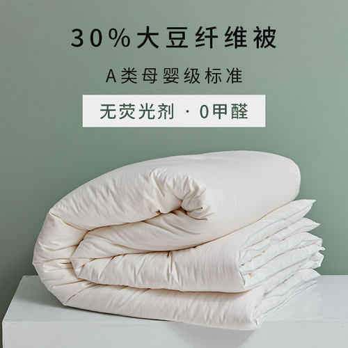 简约大豆纤维全棉四季通用冬被
