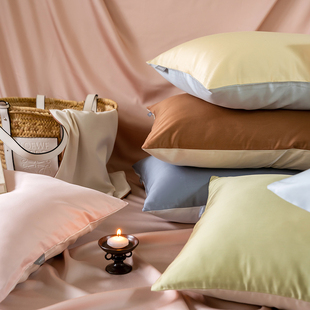 在耳边北欧风兰精天丝棉枕套春夏凉感莱赛尔枕头套单只48 74cm