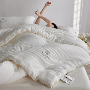 轻奢提花A类新疆棉花被纯棉春秋提花被子全棉冬被加厚保暖被芯