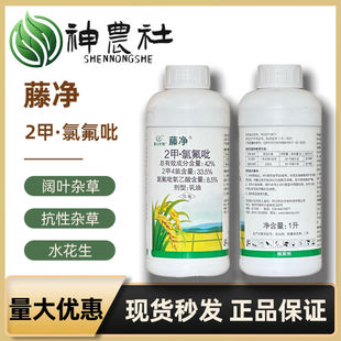 利尔藤净42%2甲·氯氟吡草坪专用除草剂水稻小麦一年生阔叶除草剂