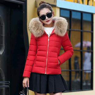 特价冬季棉衣女大毛领羽绒棉服女士短款修身棉袄韩版连帽外套
