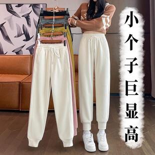 九级防风裤冬季加绒加厚白色休闲裤高腰显瘦大码胖MM百搭运动裤子