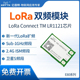 LoRa扩频模块433M 2.4G双频无线射频通信兼容SX1262 SX1281方案