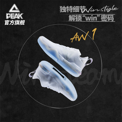 匹克AW1维金斯男鞋篮球鞋