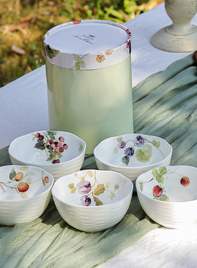 日本进口Narumi鸣海LUCYS GARDEN11cm露西花园骨瓷碗餐具礼盒套装