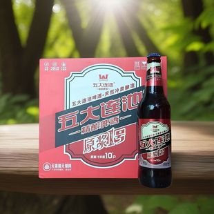 五大连池啤酒原浆1号啤酒500ml玻璃瓶玻璃瓶火山冷泉泡沫箱发货