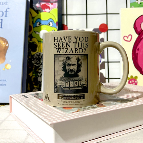 哈利波特小天狼星通缉变色马克杯