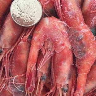 大甜虾超低温生食甜虾北极甜虾刺身寿司