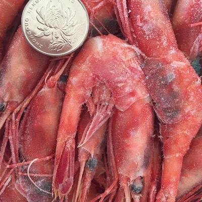 超低温生食甜虾北极甜虾