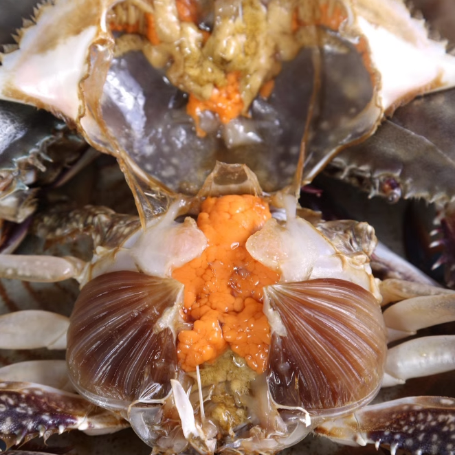 丹东生腌蟹整只梭子蟹咸鲜不辣