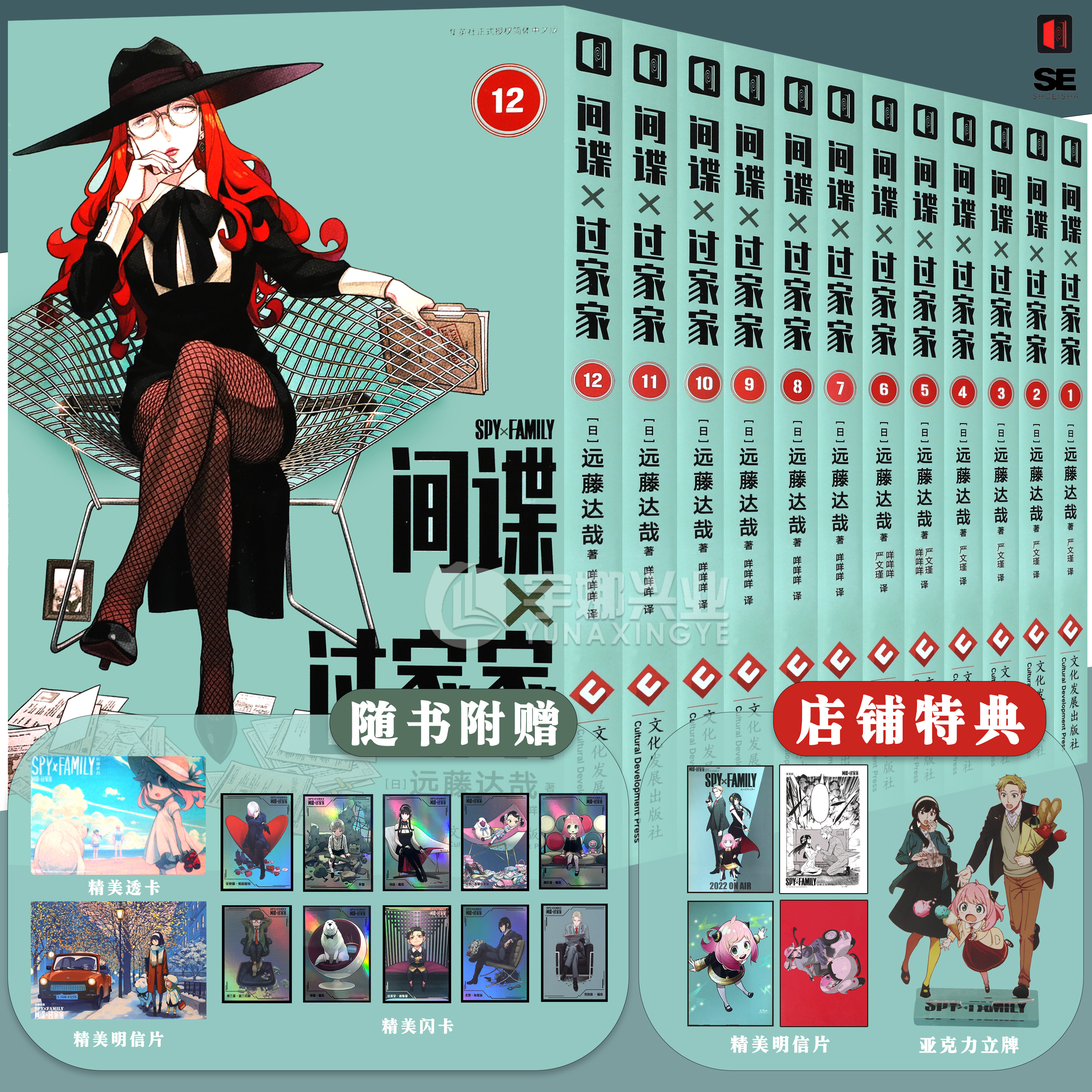 现货间谍过家家漫画1-12套装12册图片