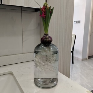 风信子透明彩色花瓶办公室桌面种球水培器皿玻璃花瓶客厅装饰摆件