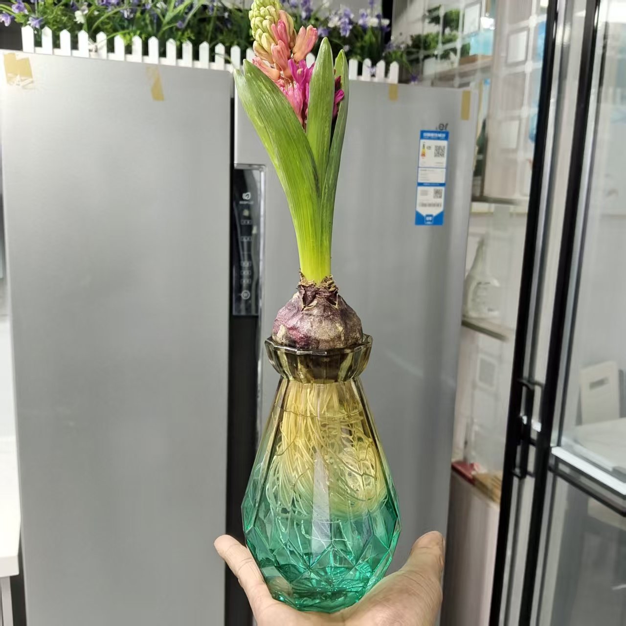 简约玻璃花瓶风信子透明花瓶办公室桌面水培绿萝器皿客厅装饰摆件,鲜花速递/花卉仿真/绿植园艺,花瓶,淘宝优惠券,粉丝福利购,淘宝优惠卷