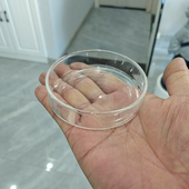 水晶虾玻璃喂食盆玻璃鱼缸观赏宠物虾喂食器虾粮盘饲料盆透明食盘