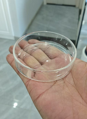 观赏虾玻璃喂食盆喂食器