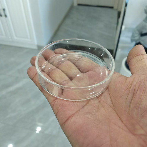 观赏虾玻璃喂食盆喂食器