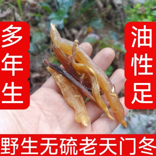 天门冬贵州深山农家自采野外生长无硫天门冬三百磅泡酒材料250克