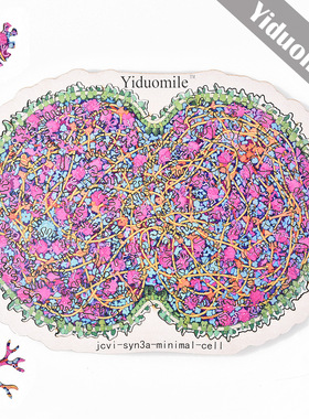 系列拼图-《JCVI-syn3A》木制拼图 - 不规则形状的儿童和成人益智