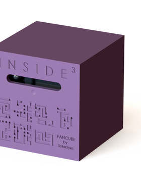 法国原装进口INSIDE3解密3D立体迷宫puzzle烧脑儿童益智玩具紫色