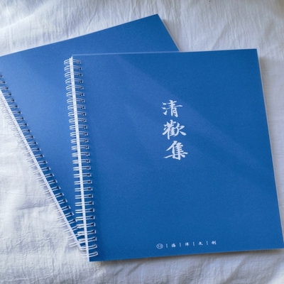 13号海洋文创 冉方手写字帖成人学生行书行楷钢笔硬笔临摹练字本