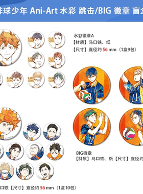 日本正版 排球少年 Ani-Art 水彩 跳击/BIG 徽章 盲盒 周边谷子