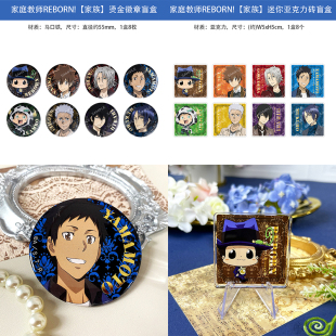 日本正版 家庭教师REBORN!家族徽章亚克力砖挂件透卡盲盒周边谷子