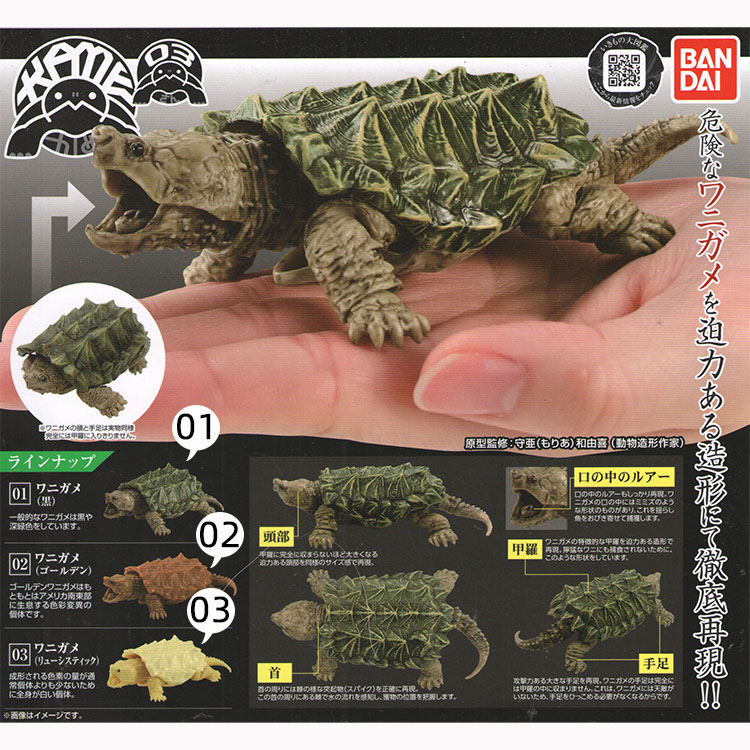 Bandai万代扭蛋 鳄龟 乌龟 海龟 仿真生物拼装可动模型第3弹
