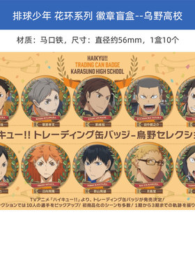 日本正版 SOL 排球少年 圣诞花环系列 乌野徽章吧唧盲抽 周边谷子