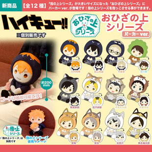 膝上系列卫衣ver 排球少年 毛绒玩偶周边谷子 PROOF正版 有货