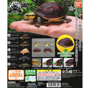 有货 扭蛋 万代 乌龟系列4 可动仿真动物模型河洋生物大图鉴海龟
