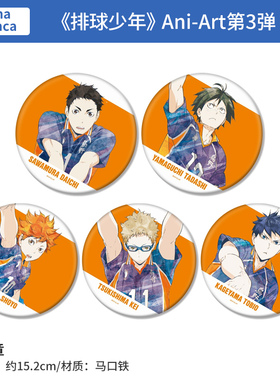 日本正版 AMNIBUS 排球少年 Ani-Art第3弹 徽章 周边谷子