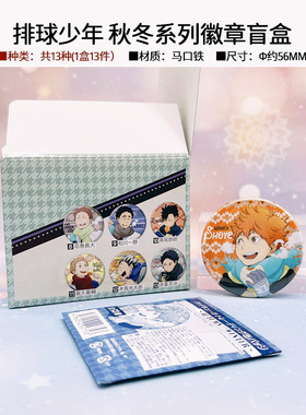 有货SOL International正版排球少年旧秋冬徽章吧唧普底 周边谷子