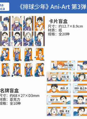 日本正版AMNIBUS 排球少年 Ani-Art 第3弹 卡片 名牌盲盒周边谷子