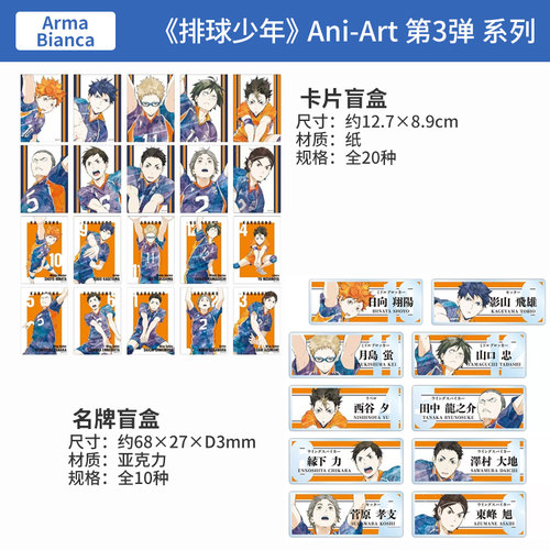 日本正版AMNIBUS 排球少年 Ani-Art 第3弹 卡片 名牌盲盒周边谷子