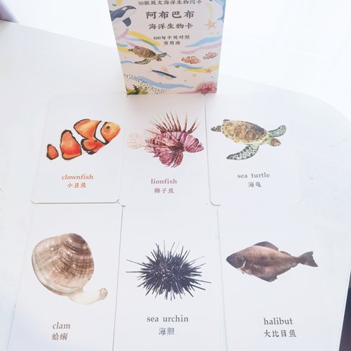 阿布巴布海洋生物儿童闪卡认知卡