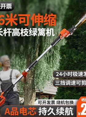 德国进口斯蒂尔充电式高枝绿篱修剪机高空园林绿化修枝机可伸缩加