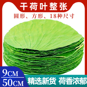 干荷叶整张18种尺寸正宗微山湖荷叶叫花鸡饭专用莲叶藕叶批发商用