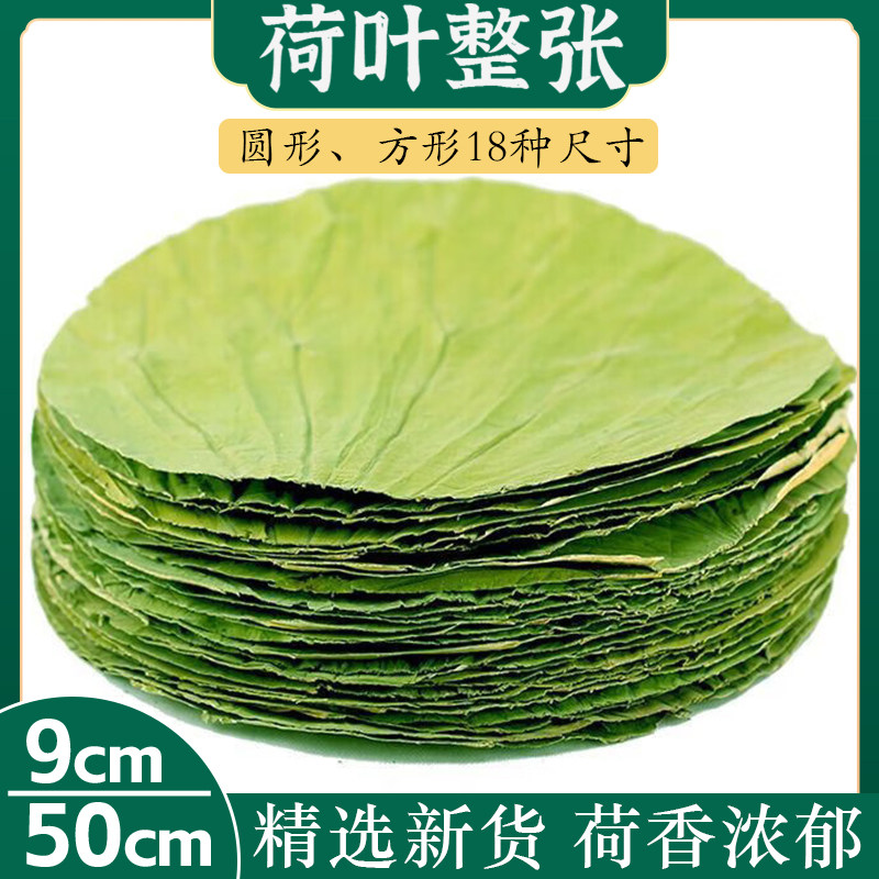 荷叶整张干荷叶圆形糯米鸡专商用