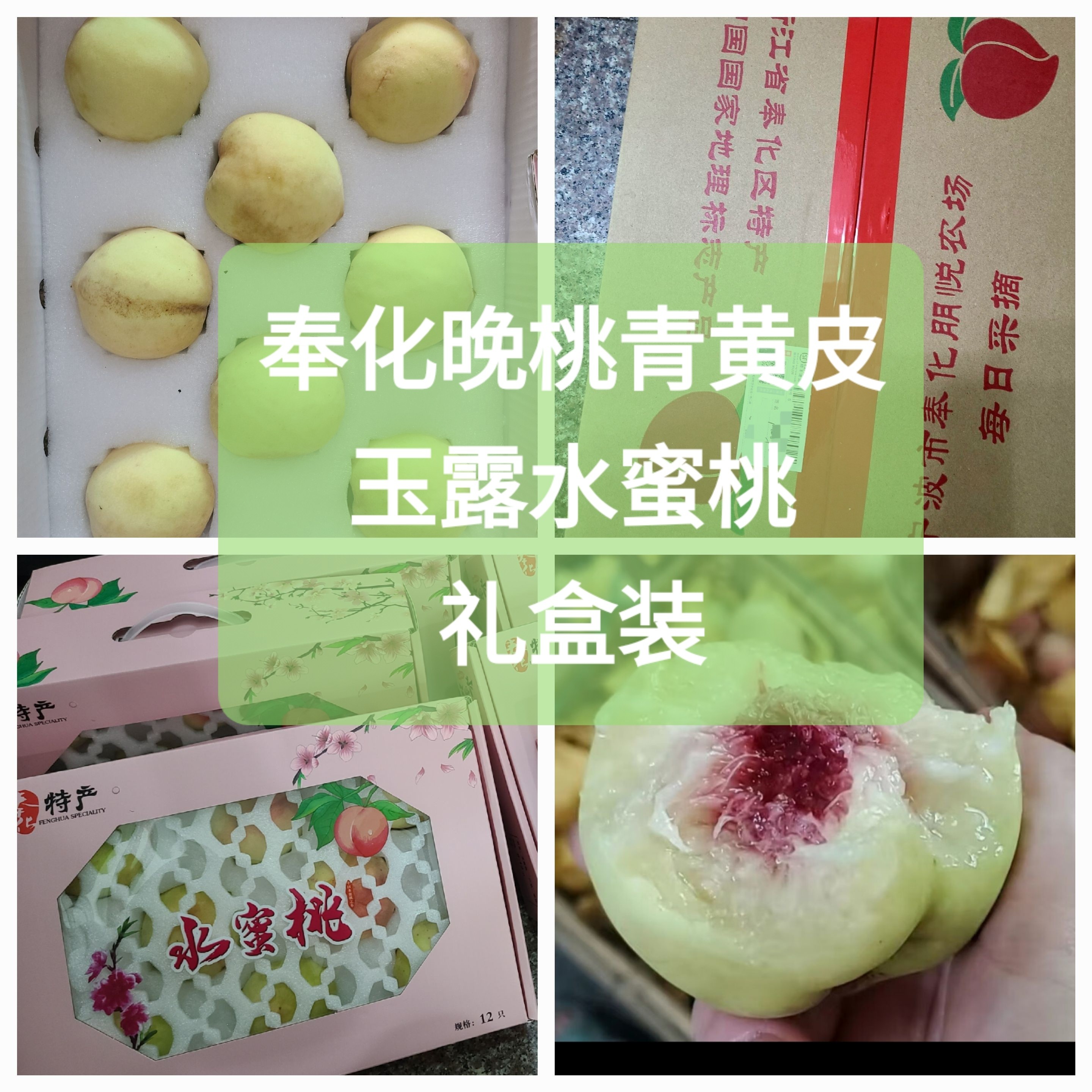 奉化萧王庙山地蜜桃树上熟金品质