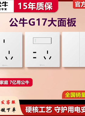 公牛G17白色开关插座五孔带一开16a大面板亮面86型USB5孔墙壁暗装