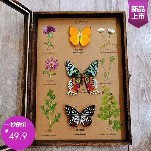 蝶语桐木立体画框昆虫真礼品定制
