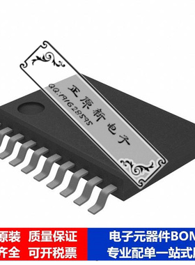 微处理器 单片机MSP430F110IPW芯片集成电路