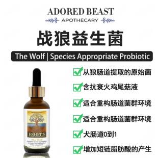 Adored Beast狼种肠道益生菌火鸡菇液战狼消炎狼族The Wolf保健品