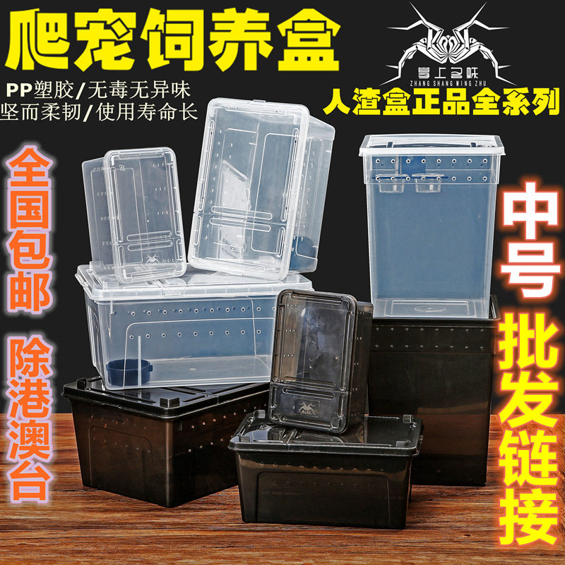 Snail breed Feeding Box Terrariums Gecko Spider Horned Frogs insect Players Escape Feeding Boxin the Pet/Pet food and supplies , Aqua World , Screw  category - from Buy2taobao.com to provide professional Taobao agent buy service