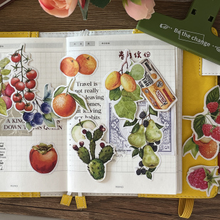 饰 水果花卉记录生活日常装 春日缤纷彩色手帐本贴纸素材包 套装
