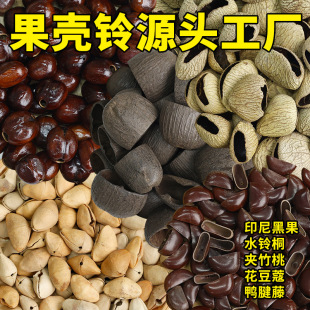 果壳铃原材料风铃手摇铃DIY材料原料印尼黑果夹竹桃水铃桐鸭键藤