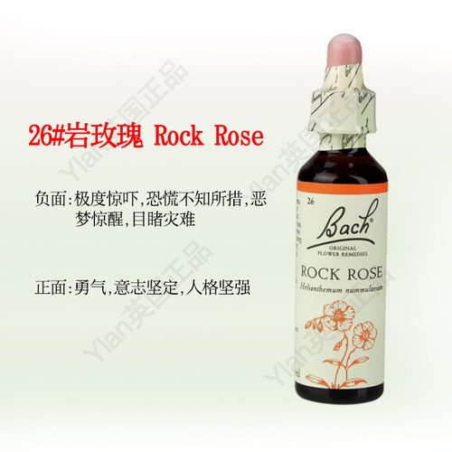 英国原装bach贝曲巴赫花精岩蔷薇